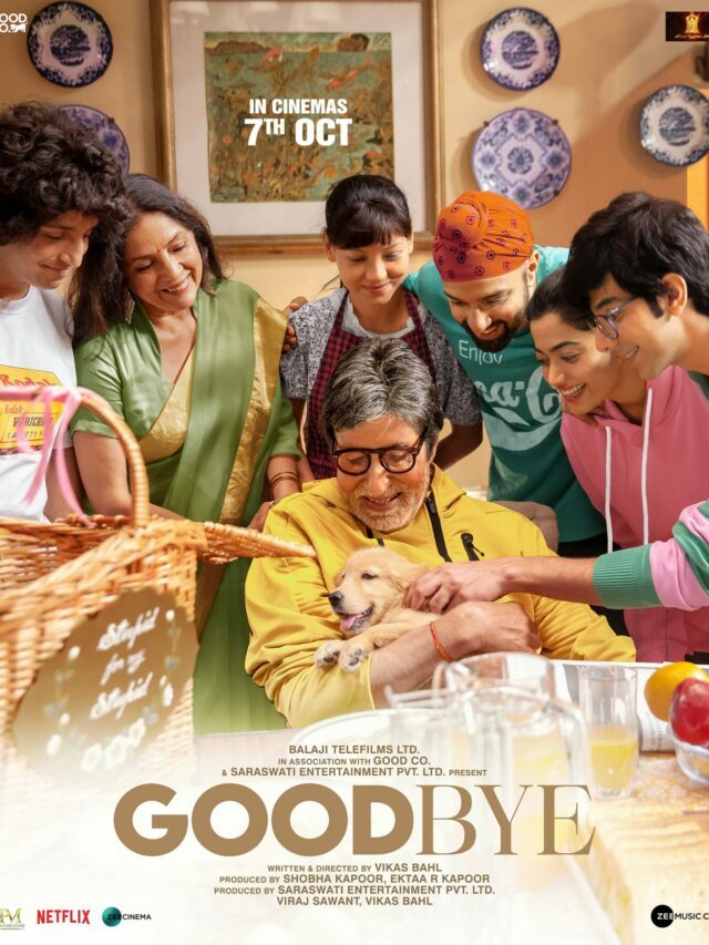 GoodBye एक पारिवारिक कॉमेडी-ड्रामा फिल्म है जिसे  आप अपने घर के लोगो के साथ देख सकते है इस फिल्म में अमिताभ बच्चन ने मुख्य किरदार निभाया है